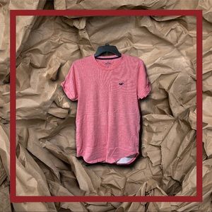 Hollister tee shirt